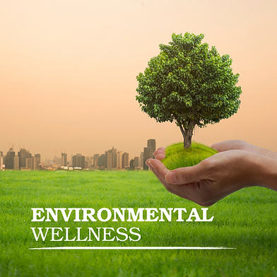 Environmental Wellness: Understanding Your Connection to the Natural World