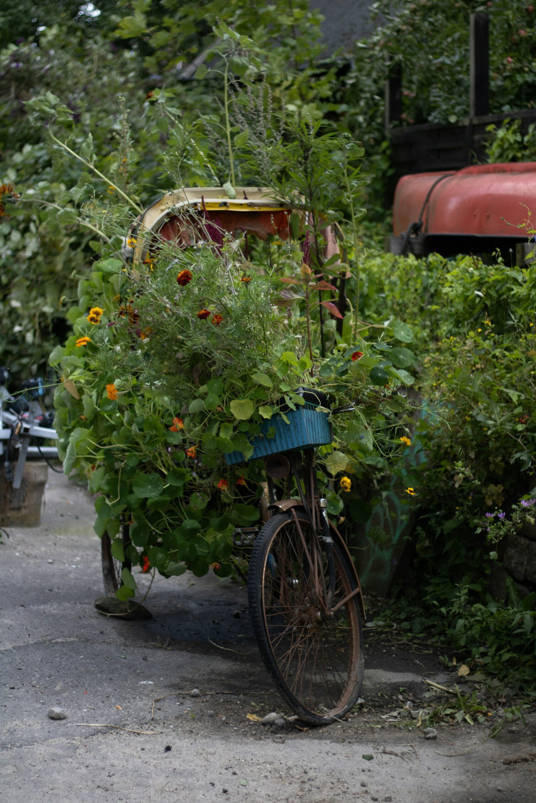 Transform Your City Living: Proven Urban Gardening Lifestyle Practices for Health, Sustainability, and Joy